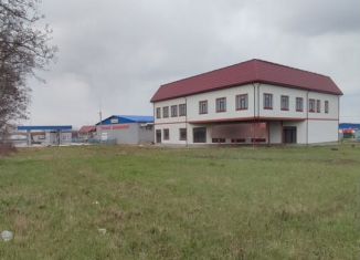 Продается помещение свободного назначения, 1066 м2, деревня 1-я Моква, Рябиновая улица, 4