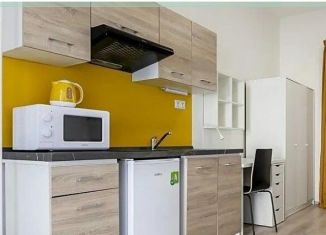 Продается квартира студия, 21 м2, Санкт-Петербург, набережная реки Фонтанки, 64, метро Достоевская