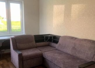 Продаю 2-комнатную квартиру, 47 м2, сельский посёлок Новинки, 2-я Дорожная улица, 14, ЖК Новинки Смарт Сити