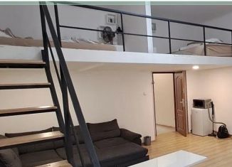 Продается квартира студия, 20 м2, Санкт-Петербург, Гатчинская улица, 1/56, муниципальный округ Петровский