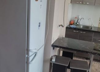 Сдаю квартиру студию, 18.6 м2, Татарстан, улица Мазита Гафури, 59к1