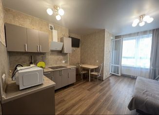 Сдается квартира студия, 28 м2, Республика Башкортостан, бульвар Давлеткильдеева, 5