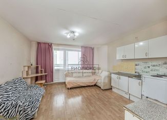 Продается квартира студия, 24.9 м2, Челябинск, улица Петра Столыпина, 13, Центральный район