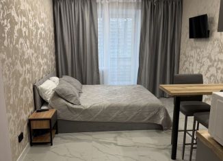 Квартира в аренду студия, 24 м2, Вологда, Новгородская улица, 34к3