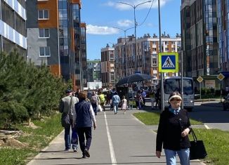 Сдаю помещение свободного назначения, 64 м2, городской посёлок Янино-1, Ясная улица, 14к3