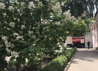 Сдаю в аренду торговую площадь, 65 м2, Рыльск, улица Карла Либкнехта, 4