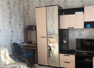 Продажа 1-ком. квартиры, 25.2 м2, Кукмор, улица Степана Разина, 85