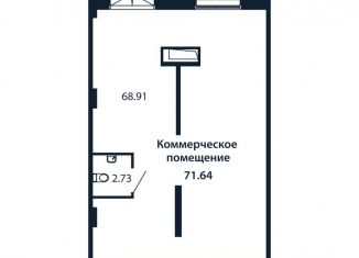 Продажа помещения свободного назначения, 71.64 м2, городской посёлок Новоселье, Красносельское шоссе, 9