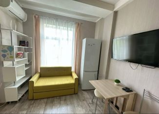 Продается квартира студия, 30 м2, Сочи, Орбитовская улица, 20/14, микрорайон Энергетик-Изумруд