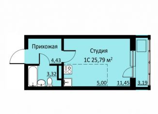 Продается квартира студия, 25.8 м2, деревня Кондратово, Водопроводная улица, 6/2