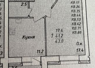 Продается однокомнатная квартира, 43 м2, Новоалтайск, улица Титова, 8