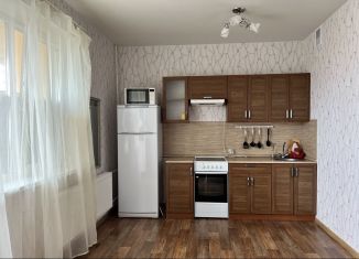 Продажа квартиры студии, 28 м2, Санкт-Петербург, Парашютная улица, 58, ЖК Каменка