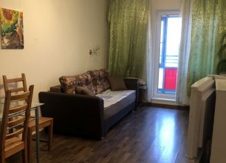 Сдаю в аренду квартиру студию, 30 м2, Санкт-Петербург, ЖК Триумф Парк