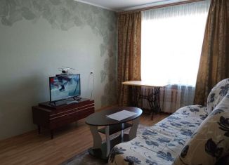 Двухкомнатная квартира в аренду, 46 м2, Новгородская область, Песчаная улица, 10