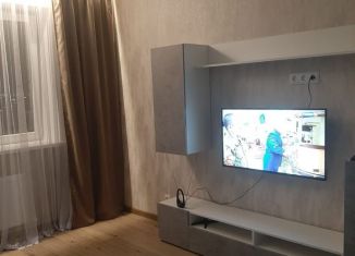 Сдам в аренду однокомнатную квартиру, 38 м2, Ростов-на-Дону, Художественная улица, 13, ЖК Платовский