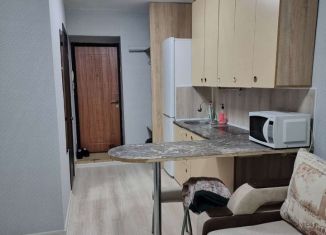 Сдам в аренду квартиру студию, 18 м2, Томск, Первомайская улица, 65А