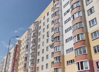 2-ком. квартира на продажу, 53 м2, село Осиново, Спортивная улица, 1, ЖК Радужный