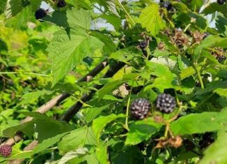 Продажа дома, 60 м2, деревня Арманкасы, Речная улица