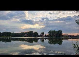 Продажа дома, 55 м2, СНТ Ромашка, СНТ Ромашка, 100