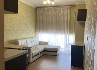 Квартира в аренду студия, 24 м2, Пензенская область, улица Лермонтова, 3