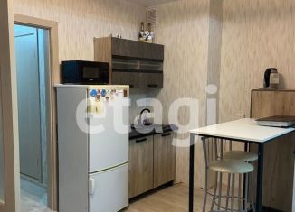 Сдаю в аренду квартиру студию, 33 м2, Красноярск, Апрельская улица, 5М, Кировский район