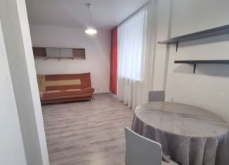 Квартира в аренду студия, 31.2 м2, Екатеринбург, Коуровская улица, 13/3