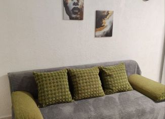 Сдаю в аренду дом, 39 м2, Сочи, микрорайон Молдовка, Краснопролетарская улица, 1