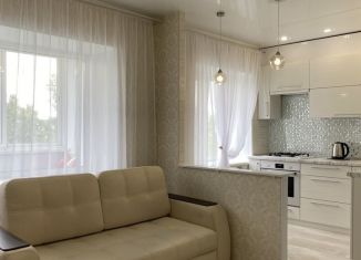 Аренда 2-ком. квартиры, 47 м2, Дзержинск, проспект Чкалова, 49