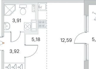 Продается квартира студия, 28.4 м2, посёлок Стрельна