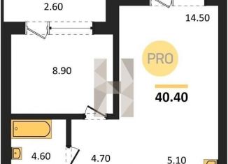 1-ком. квартира на продажу, 40.4 м2, Новосибирская область, Овражная улица, 2А