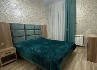 2-комнатная квартира в аренду, 45 м2, Сочи, Приграничная улица, 6А, микрорайон Весёлое