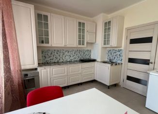 2-ком. квартира в аренду, 50 м2, Люберцы, улица Камова, 5к2, ЖК Люберцы 2020