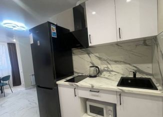 Сдается в аренду квартира студия, 33 м2, Сочи, Дагомысская улица, 19, микрорайон Больничный Городок