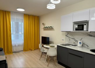 Квартира в аренду студия, 25 м2, Санкт-Петербург, Планерная улица, 87к1