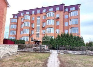 Продается 2-комнатная квартира, 54.2 м2, село Хрущёвка, Прогонная улица, 1А