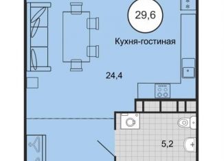 Продаю квартиру студию, 29.6 м2, Михайловск, Князевский переулок, 91