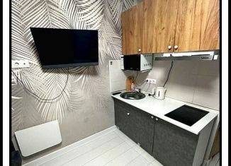 Продам квартиру студию, 13.5 м2, деревня Ивановское, улица Николинские Ключи, 34