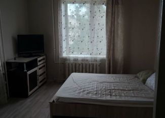 Сдам в аренду 1-ком. квартиру, 30 м2, Сланцы, улица Кирова, 14