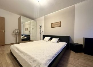 Сдается 2-ком. квартира, 60 м2, Санкт-Петербург, Мебельная улица, 35к2, Мебельная улица