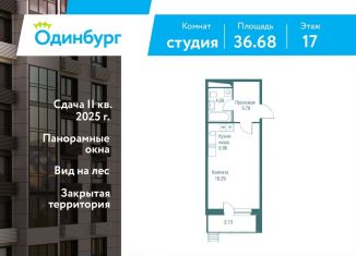 Продажа квартиры студии, 36.7 м2, Одинцово