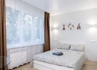 Сдам 1-ком. квартиру, 25 м2, Екатеринбург, улица Чапаева, 17