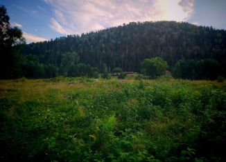 Продажа участка, 25 сот., село Усть-Пыжа, Центральная улица