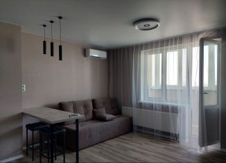 Квартира в аренду студия, 30 м2, Самара, Московское шоссе, ЖК Дом у Самолёта