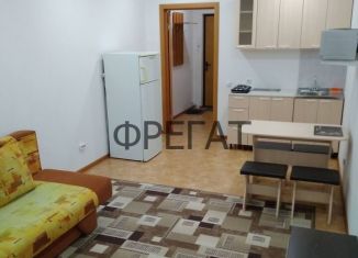 Продам квартиру студию, 27 м2, Красноярский край, улица Карамзина, 8