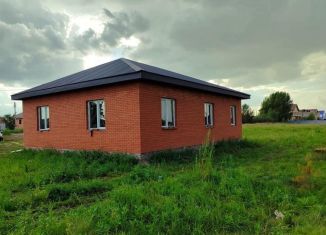 Продается дом, 100 м2, село Дружино, Рябиновая улица