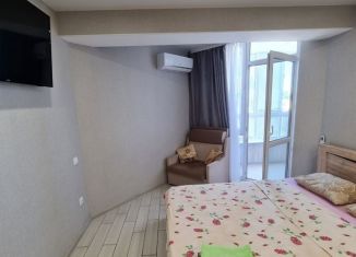 Сдам в аренду квартиру студию, 24 м2, Севастополь, улица Челнокова, 19Ак3