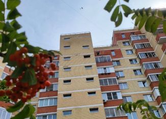 Продается 2-комнатная квартира, 48 м2, поселок Литвиново, посёлок Литвиново, 14