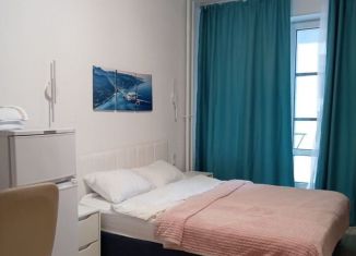 Сдам в аренду квартиру студию, 25 м2, Санкт-Петербург, Пулковское шоссе, 14Е, метро Звёздная