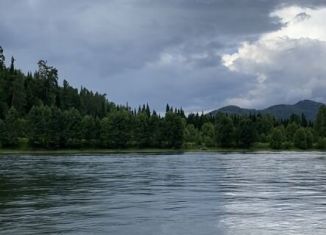 Продам участок, 200 сот., село Турочак