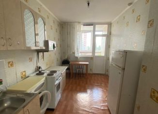 Сдается 1-ком. квартира, 40 м2, Оренбург, Салмышская улица, ЖК Звёздный Город